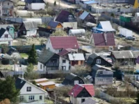 roskachestvo i igor pozdnyakov dali optimistichnye sovety po probleme padeniya derevev-lavi-su-0