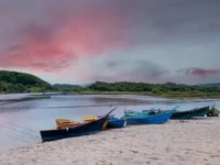 Росрыболовство и ТИНРО ввели новые меры по сохранению рыбы в Приморском крае rosrybolovstvo i tinro vveli novye mery po sohraneniyu ryby v primorskom krae-lavi-su-0