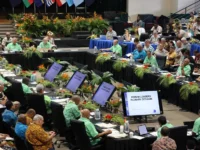 Соломоновы Острова, Китай и США ищут баланс на Форуме тихоокеанских островов solomonovy ostrova kitaj i ssha ishhut balans na forume tihookeanskih ostrovov-lavi-su-0