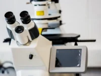 Строительство российского источника фотонов РИФ во Владивостоке начнется в 2026 году stroitelstvo rossijskogo istochnika fotonov rif vo vladivostoke nachnetsya v 2026 godu-lavi-su-0