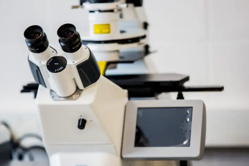 Фото: primamedia.ru