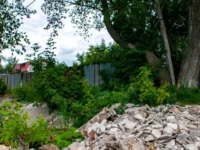 vadim vinogradov rasskazyvaet kak dachnikam izbezhat shtrafov za utilizacziyu musora-lavi-su-0