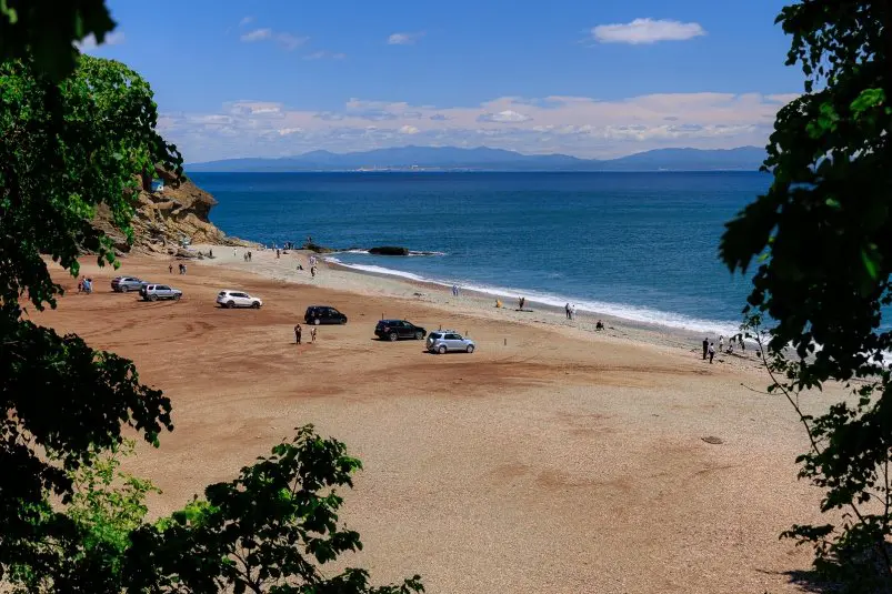 Фото: primamedia.ru