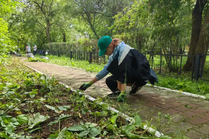 «Зов природы» от Ecowiki.ru предлагает экоактивистам из Свердловской области шанс проявить себя-0