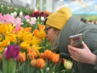 Аптекарский огород и Главный ботанический сад РАН как уголки природы Москвы aptekarskij ogorod i glavnyj botanicheskij sad ran kak ugolki prirody moskvy-lavi-su-0