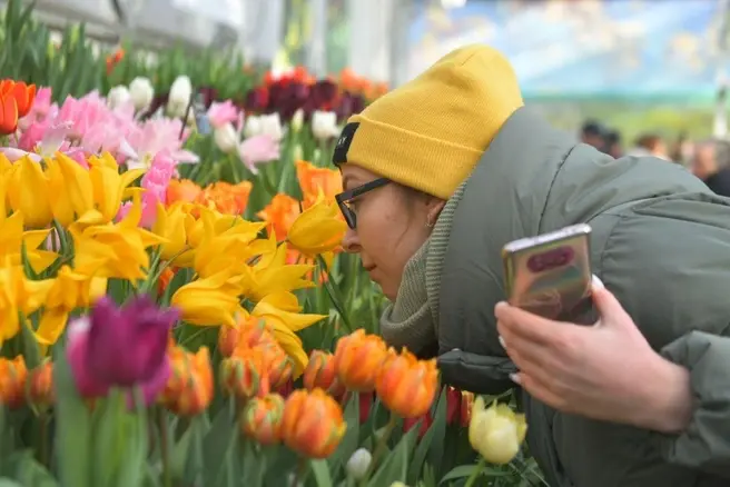Москвичи выбрали лучшую оранжерею: «Аптекарский огород» победил в опросе | Источник: Артем Устюжанин / MSK1.RU