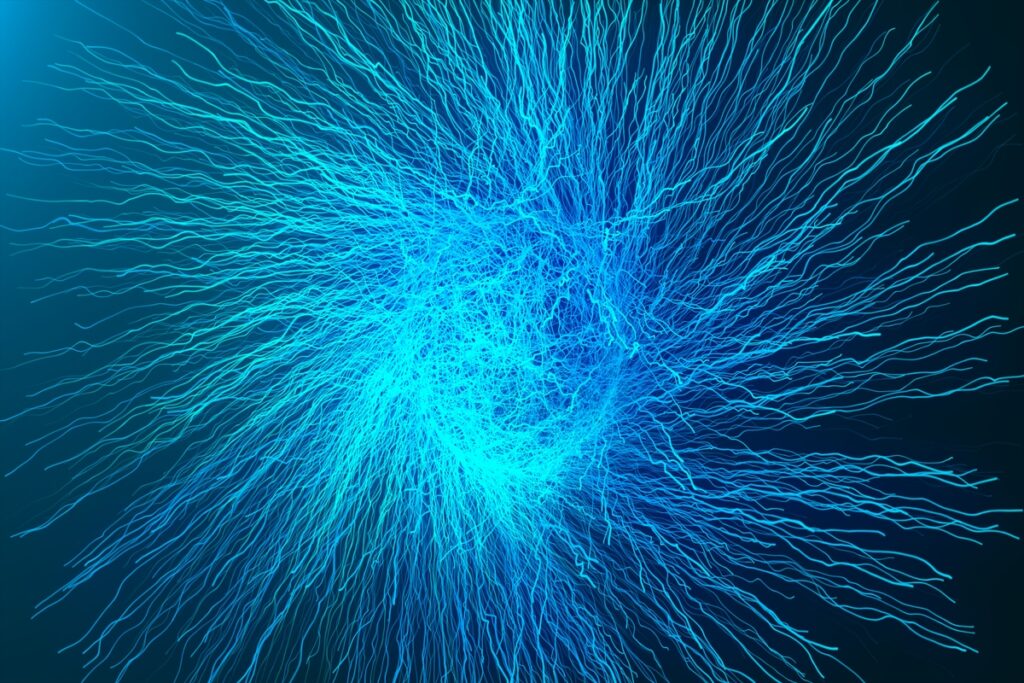 Асимметричная ветвящаяся фрактальная сеть