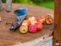 Евгения Жарикова предлагает десерты из яблок и рассказывает о стевии evgeniya zharikova predlagaet deserty iz yablok i rasskazyvaet o stevii-lavi-su-0