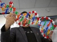 minobrazovanie krasnodarskogo kraya i israfil israfilov razveyali sluhi o zarplatah pedagogov-lavi-su-0