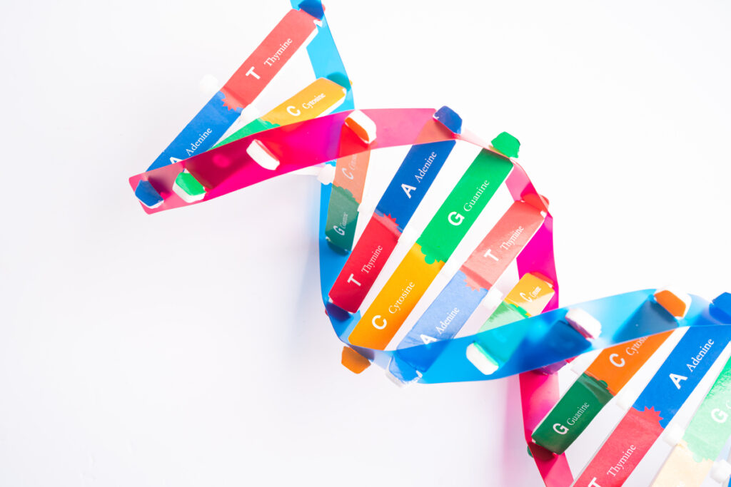 Модель ДНК из бумаги
