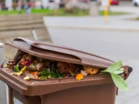 pnipu i stepan polygalov nashli innovaczionnyj put raczionalnoj pererabotki tko-lavi-su-0