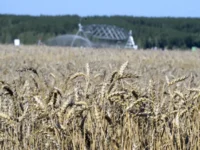 Всероссийский агродиктант в Свердловской области поддерживают Единая Россия, Анна Кузнецова и Россельхозбанк vserossijskij agrodiktant v sverdlovskoj oblasti podderzhivayut edinaya rossiya anna kuzneczova i rosselhozbank-lavi-su-0