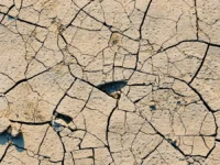 yurij slyusar i minselhoz obedinili usiliya dlya podderzhki agrariev rostovskoj oblasti-lavi-su-0