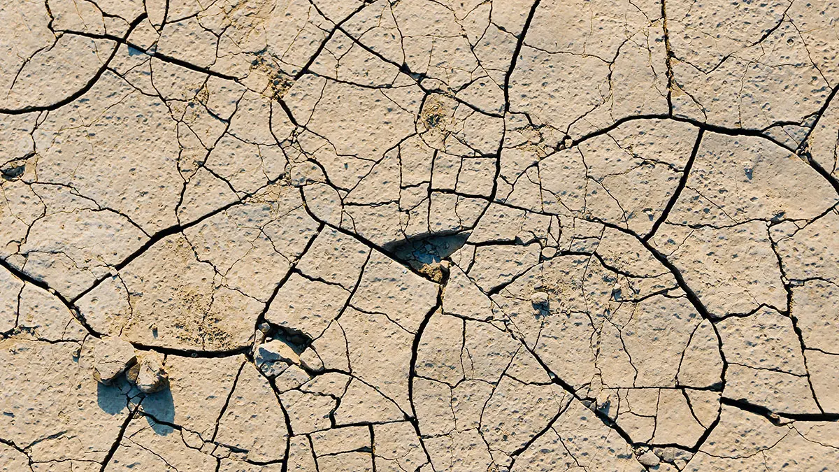 Режим ЧС из-за засухи в Ростовской области будет повышен до федерального статуса