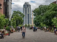 Чечня является абсолютным лидером по трезвости в России по данным Росстата chechnya yavlyaetsya absolyutnym liderom po trezvosti v rossii po dannym rosstata-lavi-su-0