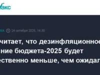ЦБ оценивает бюджет-2025 и повышение НДС, анализируя инфляцию и рубль czb oczenivaet byudzhet2025 i povyshenie nds analiziruya inflyacziyu i rubl-lavi-su-0