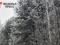denis kiselev soobshhil o namerennom ukrytii semi usolczevyh v kuturchinskom belogore-lavi-su-0