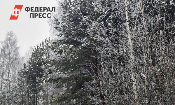 Денис Киселев сообщил о намеренном укрытии семьи Усольцевых в Кутурчинском Белогорье-0