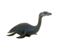 Как некоторые динозавры плавали под водой? Детальная игрушечная копия плезиозавра