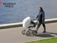 dmitrij demeshin i artem melnikov  novyj kurs podderzhki semej v habarovskom krae-lavi-su-0