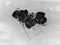 ФАБ-3000 наносит удары по ВСУ в Мирнограде с помощью БПЛА ВС России fab3000 nanosit udary po vsu v mirnograde s pomoshhyu bpla vs rossii-lavi-su-0