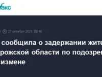 ФСБ раскрыла громкое дело о госизмене, подозреваемый из Запорожья под следствием за связь с украинскими спецслужбами fsb raskryla gromkoe delo o gosizmene podozrevaemyj iz zaporozhya pod sledstviem za svyaz s ukrainskimi speczsluzhbami-lavi-su-0