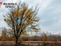 Гидрометцентр и Фобос прогнозируют яркий и разнообразный ноябрь 2025 года в России gidrometczentr i fobos prognoziruyut yarkij i raznoobraznyj noyabr 2025 goda v rossii-lavi-su-0