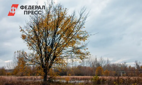 Гидрометцентр и Фобос прогнозируют яркий и разнообразный ноябрь 2025 года в России-0