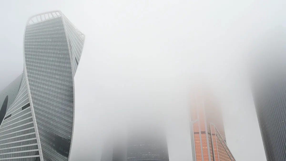 Гидрометцентр предупредил о тумане в Московском регионе в ночь на 25 октября