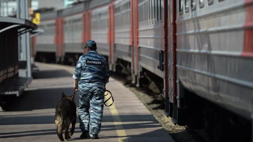 В ГД предложили ввести уголовную ответственность за пропаганду зацепинга