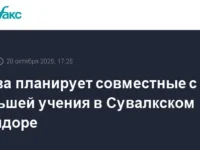 Литва и Польша укрепляют безопасность региона, проводят новые учения НАТО litva i polsha ukreplyayut bezopasnost regiona provodyat novye ucheniya nato-lavi-su-0