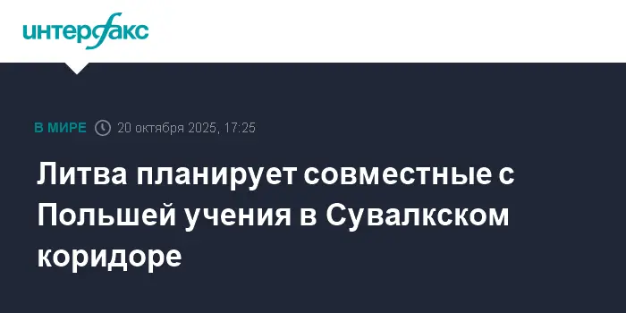 Литва и Польша укрепляют безопасность региона, проводят новые учения НАТО-0