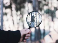 minczifry nastaivaet na besplatnoj peredache geodannyh rossiyan v novom etape razvitiya gosteh i gosuslug-lavi-su-0