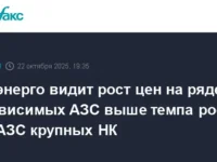 Минэнерго отмечает активность независимых АЗС на фоне роста цен у крупных НК minenergo otmechaet aktivnost nezavisimyh azs na fone rosta czen u krupnyh nk-lavi-su-0