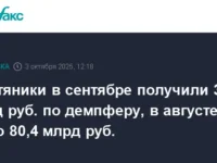 Минфин и Госдума разработали демпфер для поддержки рынка топлива minfin i gosduma razrabotali dempfer dlya podderzhki rynka topliva-lavi-su-0