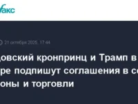 Мухаммед бен Салман и Дональд Трамп развивают сотрудничество США и Ближнего Востока muhammed ben salman i donald tramp razvivayut sotrudnichestvo ssha i blizhnego vostoka-lavi-su-0