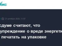 nadezhda shkolkina predlozhila novye mery dlya zashhity zdorovya energetikov-lavi-su-0