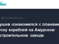 nikolaj patrushev posetil amurskij sudostroitelnyj zavod i obsudil razvitie obedinennoj sudostroitelnoj korporaczii s mihailom borovskim-lavi-su-0