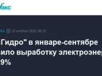 obzor dinamiki vyrabotki rusgidro pri podderzhke rosimushhestva i banka vtb-lavi-su-0