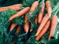 osennie produkty dlya zdorovya glaz i vitaminnyj raczion dlya zreniya-lavi-su-0