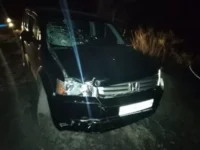 Полиция Партизанска расследует аварию с Honda Crossroad и пешеходом policziya partizanska rassleduet avariyu s i peshehodom-lavi-su-0