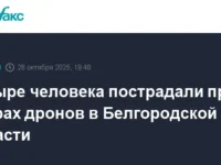 Помощь пострадавшим и стабильность в Белгородской области после атак дронов ВСУ pomoshh postradavshim i stabilnost v belgorodskoj oblasti posle atak dronov vsu-lavi-su-0