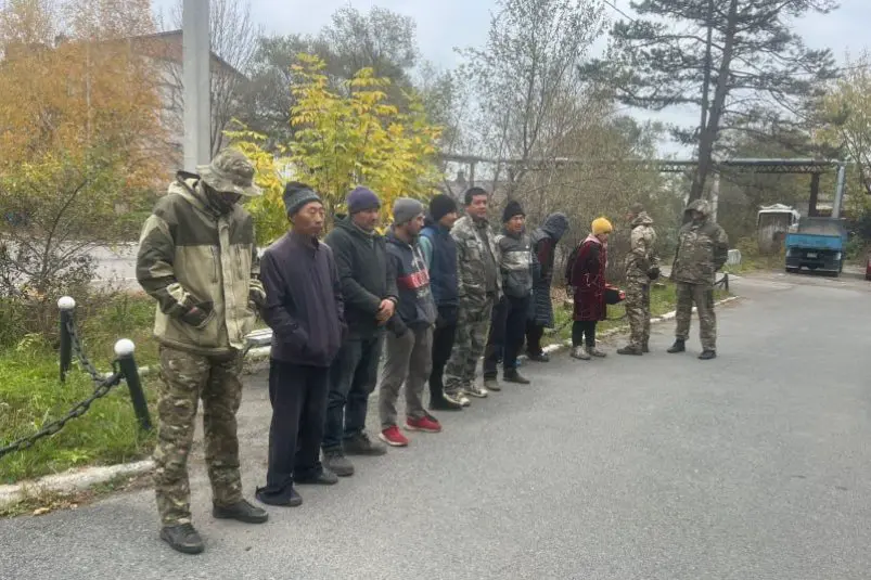 В Михайловском районе привлекли к ответственности семь иностранцев УМВД России по Приморскому краю