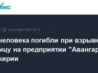 Радий Хабиров курирует ситуацию на заводе Авангард в Башкирии после взрыва radij habirov kuriruet situacziyu na zavode avangard v bashkirii posle vzryva-lavi-su-0