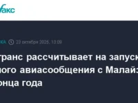 Росавиация и Red Wings запустят прямые рейсы в Малайзию при поддержке Минтранса rosaviacziya i zapustyat pryamye rejsy v malajziyu pri podderzhke mintransa-lavi-su-0