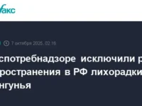 rospotrebnadzor garantiruet  rossii ot chikunguni i optimistichno prognoziruet-lavi-su-0
