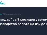 Селигдар укрепляет позиции благодаря росту золотодобычи и успехам на рынке металлов seligdar ukreplyaet poziczii blagodarya rostu zolotodobychi i uspeham na rynke metallov-lavi-su-0