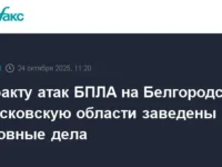 СК РФ расследует атаки БПЛА на Белгородскую и Московскую области как теракты sk rf rassleduet ataki bpla na belgorodskuyu i moskovskuyu oblasti kak terakty-lavi-su-0
