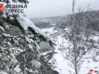 СК РФ разъяснил, что активность Сергея Усольцева в сети была рабочей sk rf razyasnil chto aktivnost sergeya usolczeva v seti byla rabochej-lavi-su-0