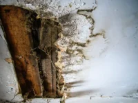 Следственный комитет под руководством Бастрыкина берет под контроль происшествие в Самаре sledstvennyj komitet pod rukovodstvom bastrykina beret pod kontrol proisshestvie v samare-lavi-su-0